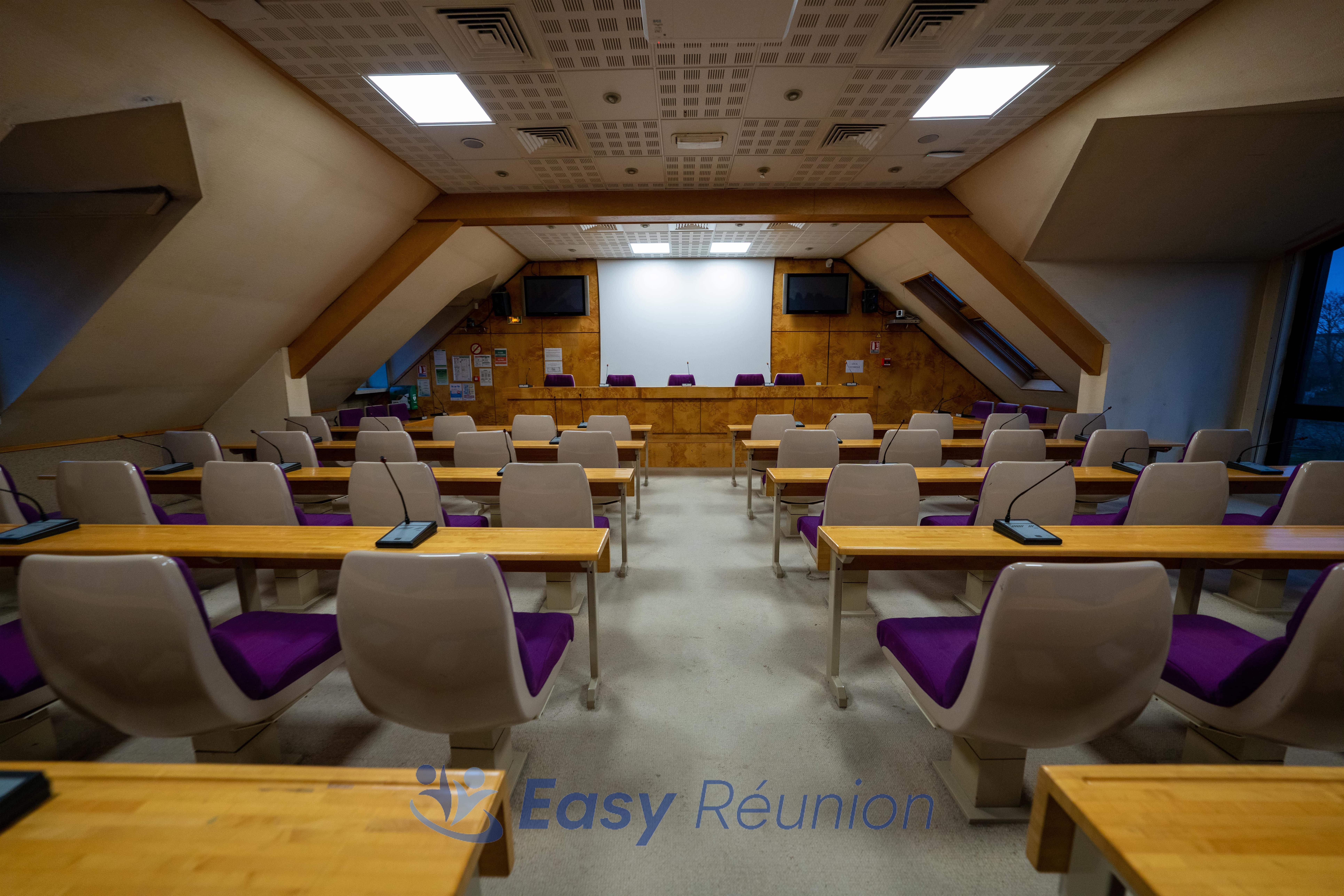 Auditorium espace du Barry-2
