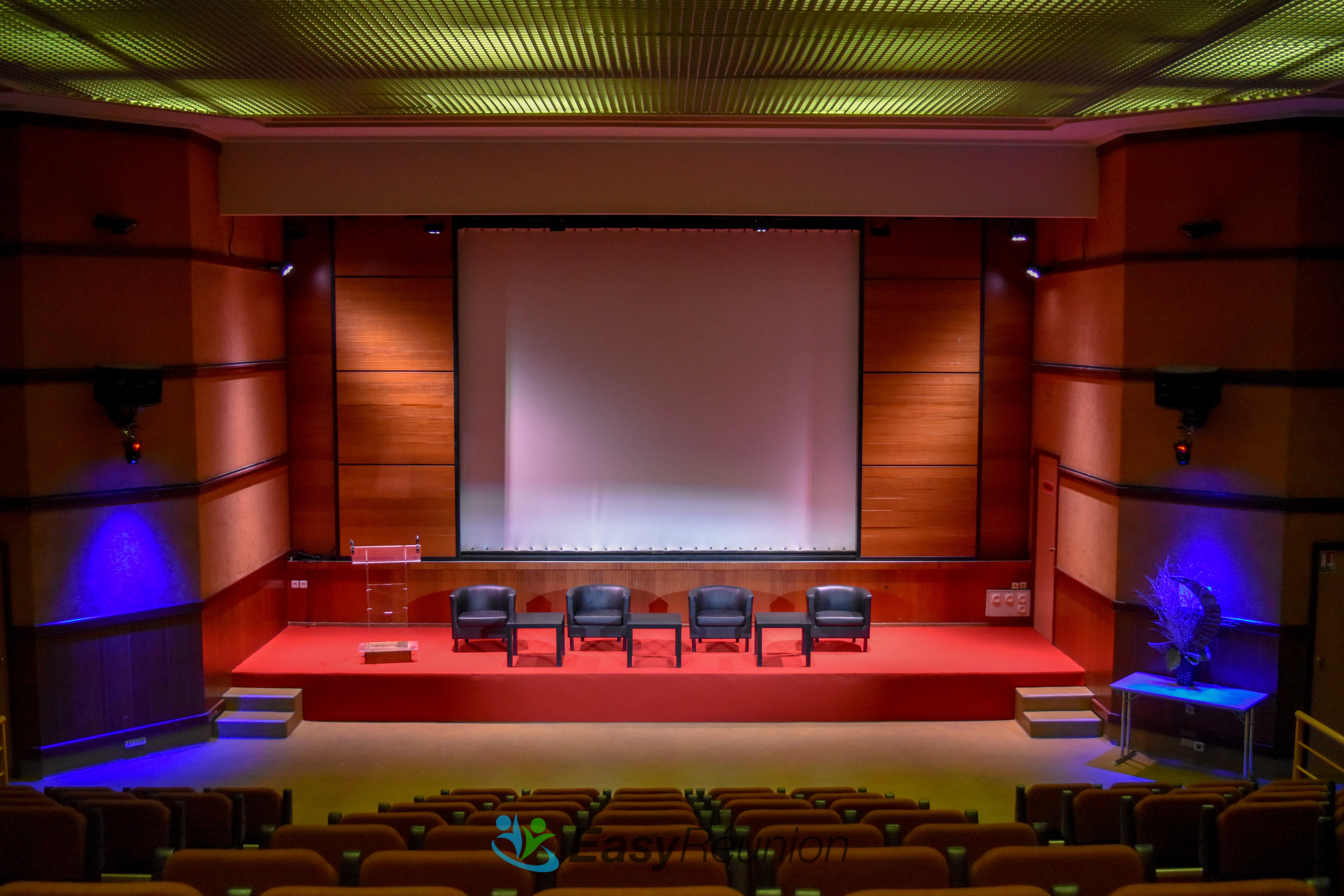 Auditorium Amphithéâtre Grenelle-6