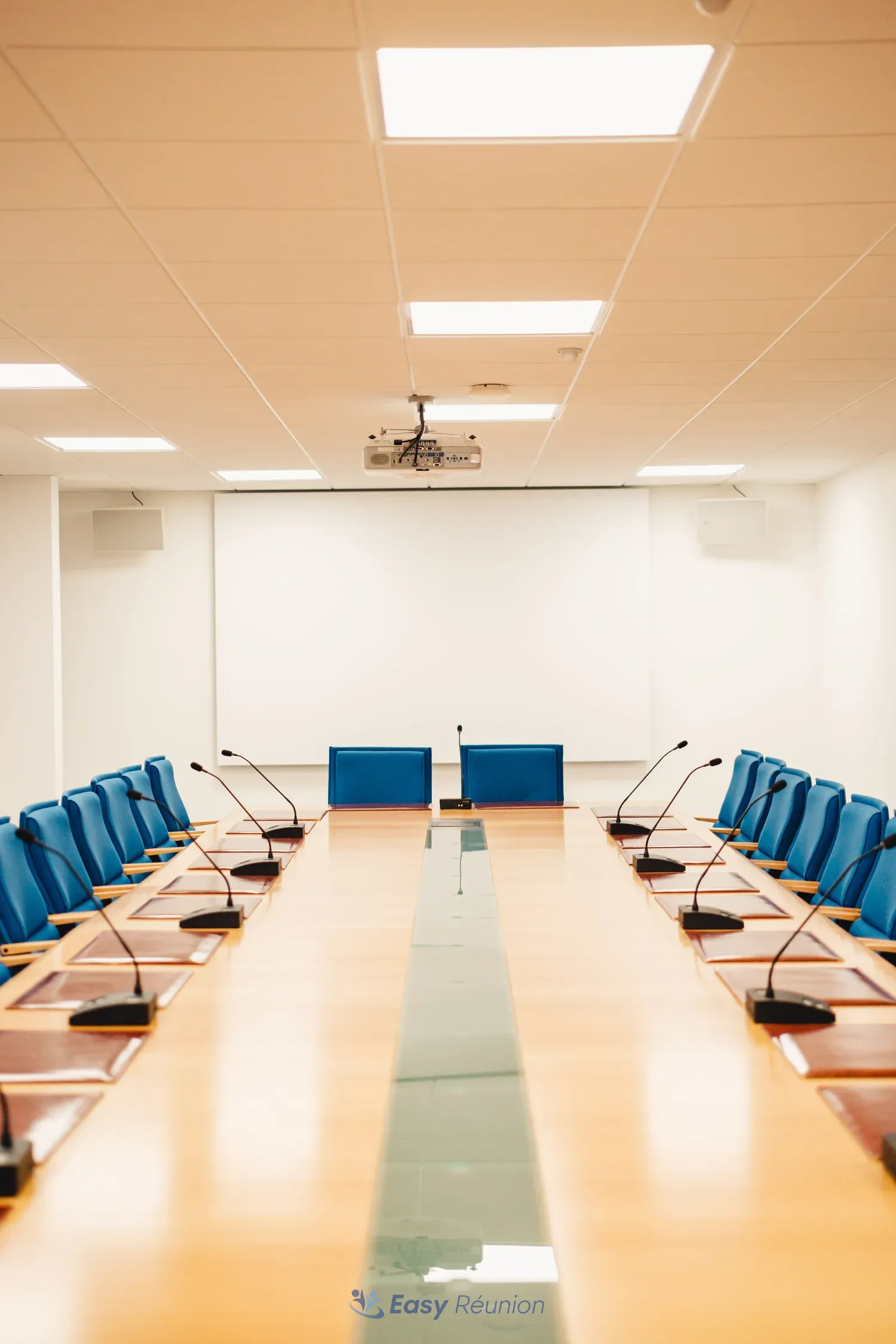Salle du conseil-2