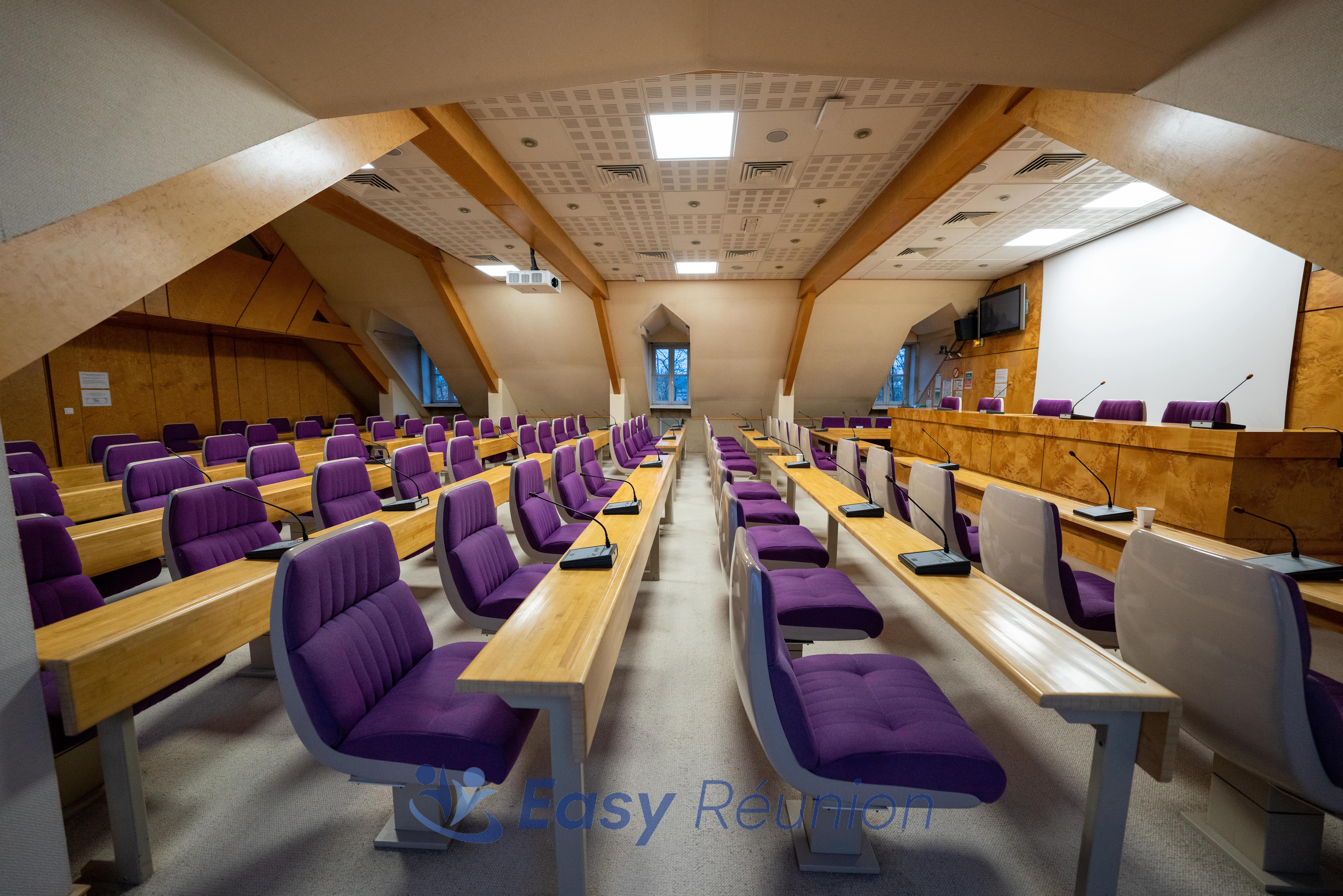 Auditorium espace du Barry-3