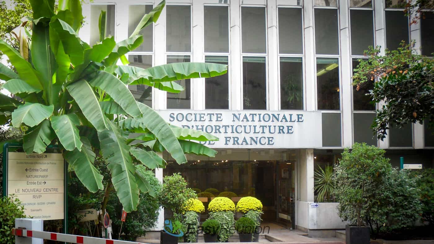 Salle de cocktail-7